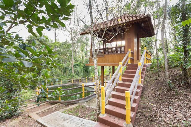 Kalppavanam Heritage Resort Thekkady Extérieur photo